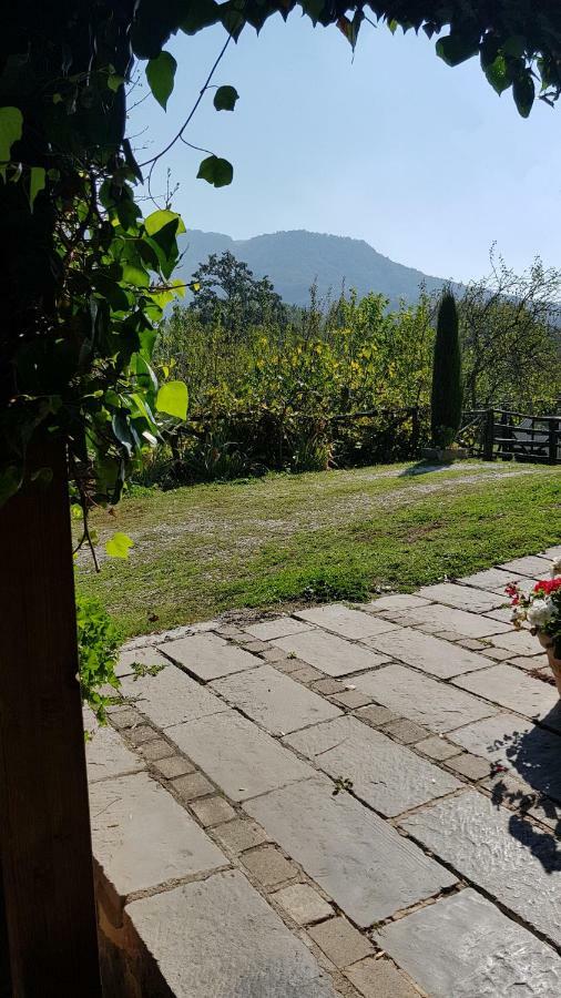 Alla Battuta Sansepolcro Εξωτερικό φωτογραφία