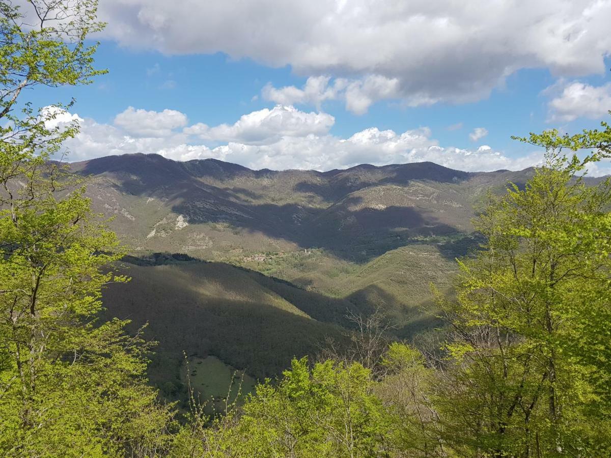 Alla Battuta Sansepolcro Εξωτερικό φωτογραφία